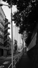 tokyo monochrome#529 tokyo monochrome#529