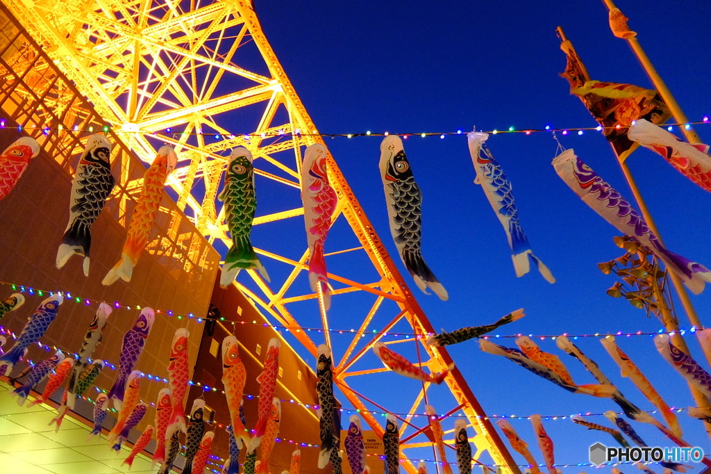 タワーと鯉のぼり