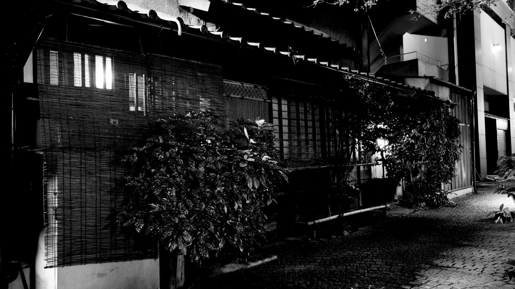 tokyo monochrome#504