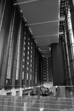 tokyo monochrome# (1320)