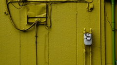 quiet color#421