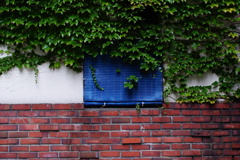 quiet color#47
