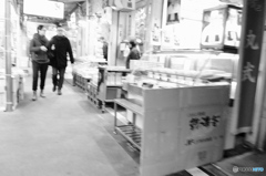 tokyo monochrome#907