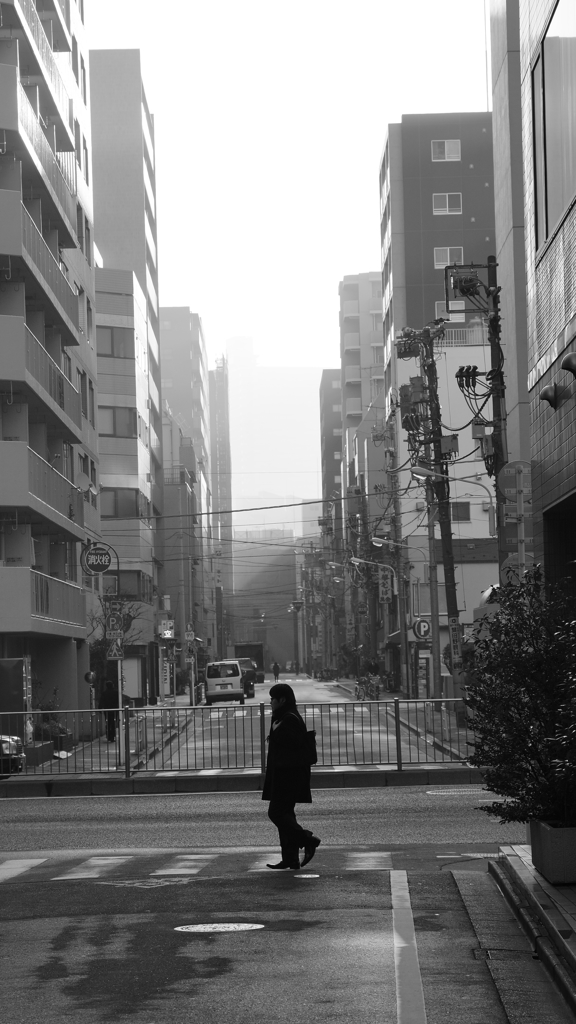 tokyo monochrome#525