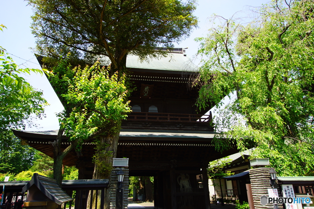 都選定歴史的建造物50 高安寺山門(1872年)