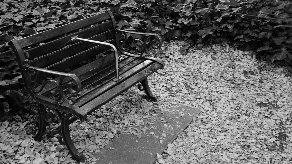 tokyo monochrome#417