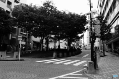 tokyo monochrome# (1412)