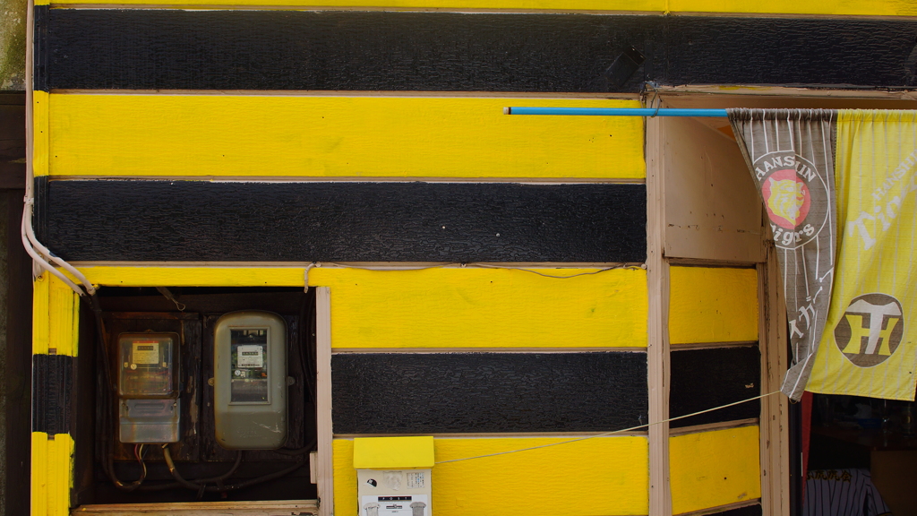 quiet color#791