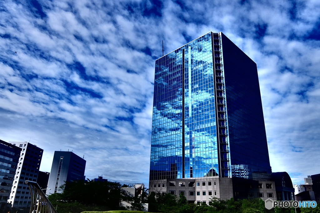 street coner illusion (454)