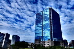 street coner illusion (454)