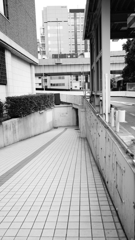 【ロケ地】　麒麟の翼