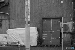 tokyo monochrome# (1621)