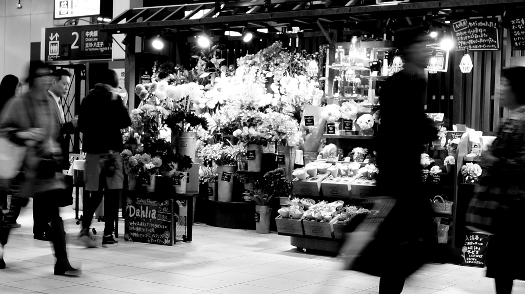 tokyo monochrome#318