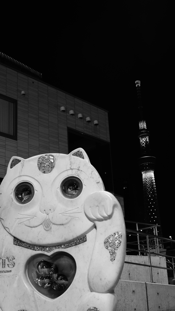 ネコにツリー