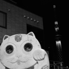 ネコにツリー