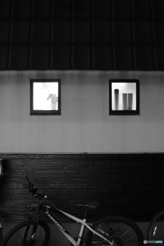 quiet color#978