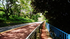 耳をすませば-3