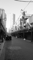 tokyo monochrome#682