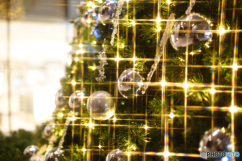 華やいでまいりました。