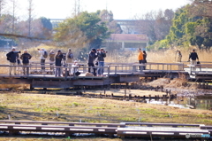 写列