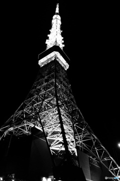 tokyo monochrome# (1190)