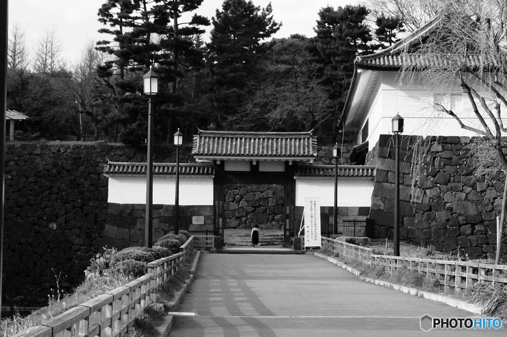 tokyo monochrome# (1184)
