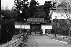 tokyo monochrome# (1184)
