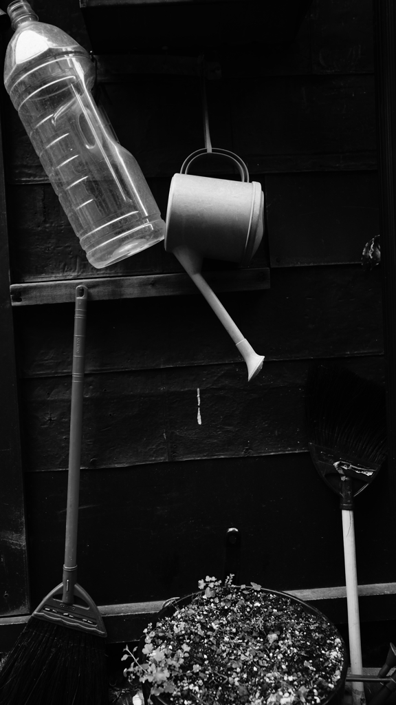 quiet color#199