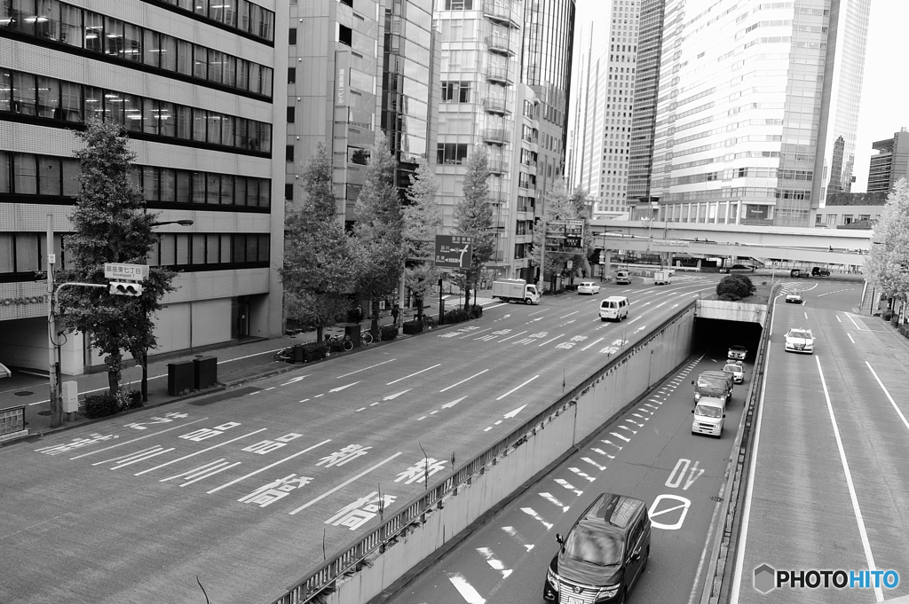 tokyo monochrome#804