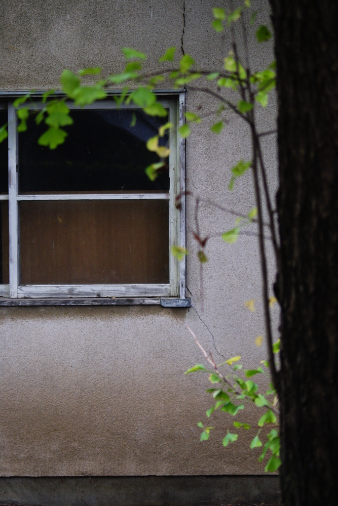 quiet color#48