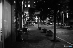 tokyo monochrome#817