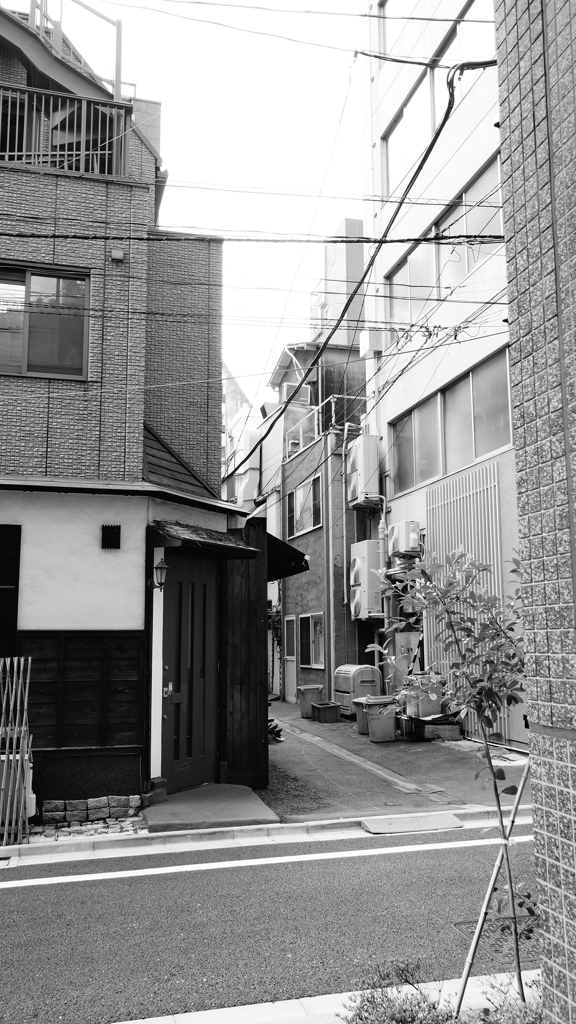 tokyo monochrome#567