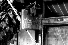 tokyo monochrome#506