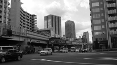 tokyo monochrome#516