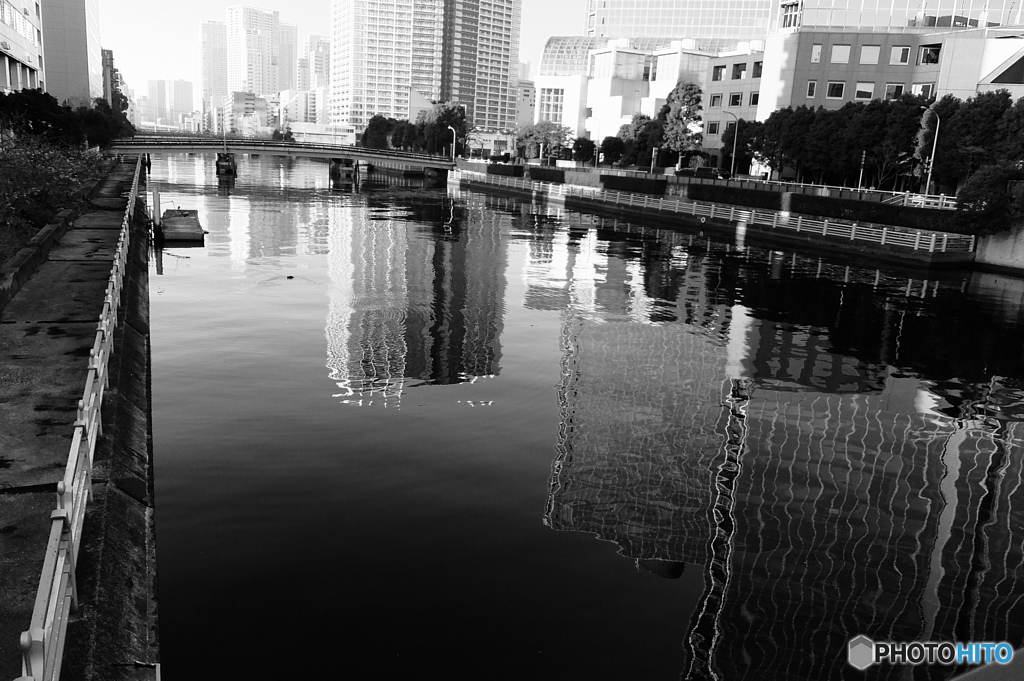 tokyo monochrome#1021~1/f揺らぎ