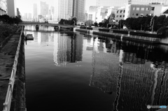 tokyo monochrome#1021~1/f揺らぎ