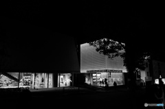 tokyo monochrome# (1024)