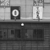 quiet color#731
