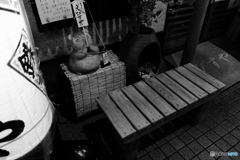 tokyo monochrome# (1608)
