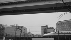tokyo monochrome #576東新橋 tokyo monochrome #576東新橋
