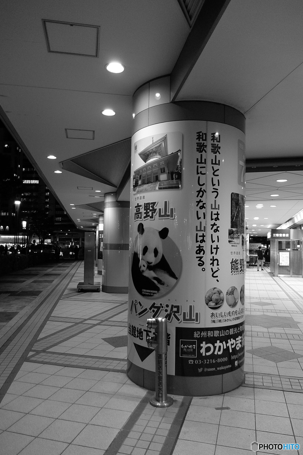 和歌山という名の山はないけれど・・・