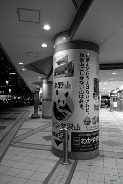 和歌山という名の山はないけれど・・・