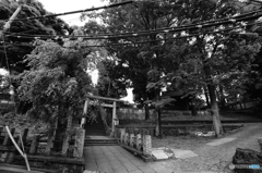 tokyo monochrome# (1290)