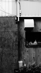 quiet color#249