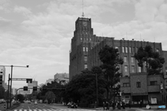 tokyo monochrome#815