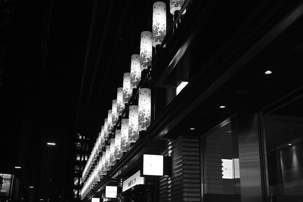 tokyo monochrome#649