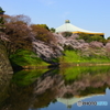 清水門外から武道館を望む