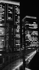tokyo monochrome#715