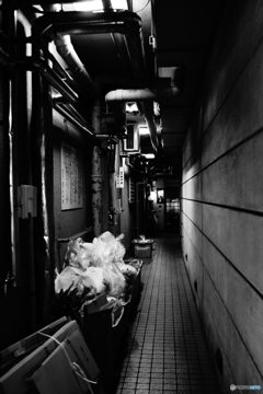 tokyo monochrome# (1525)