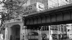 tokyo monochrome#657